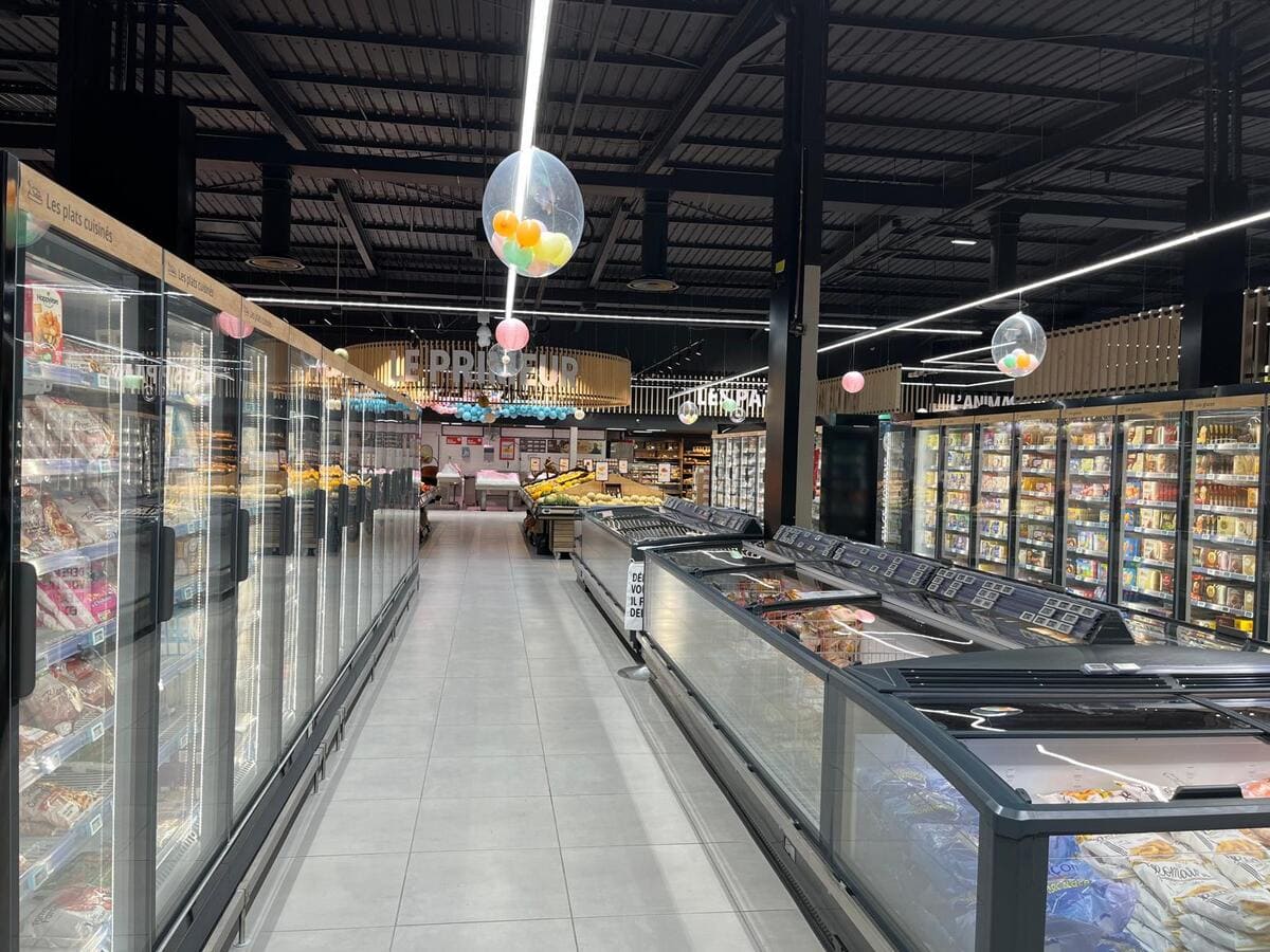 Iluminación ambiental y técnica mediante carriles y líneas LED en zona de congelados.